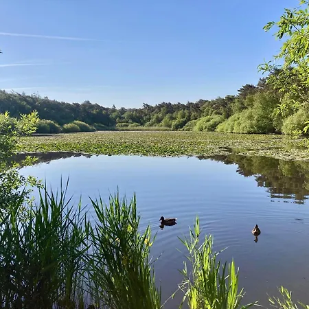 Haus-frauenpreis-wohnung-57 * Куксхафен