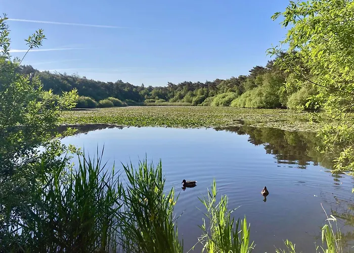 Haus-frauenpreis-wohnung-57 * Cuxhaven