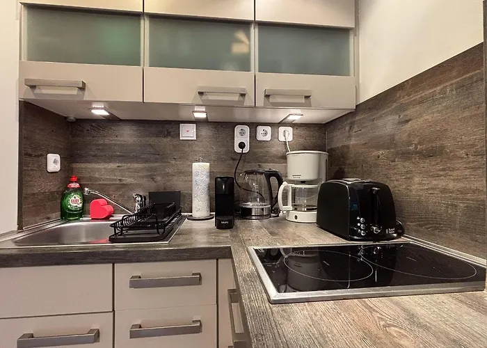 Haus-frauenpreis-wohnung-57 公寓